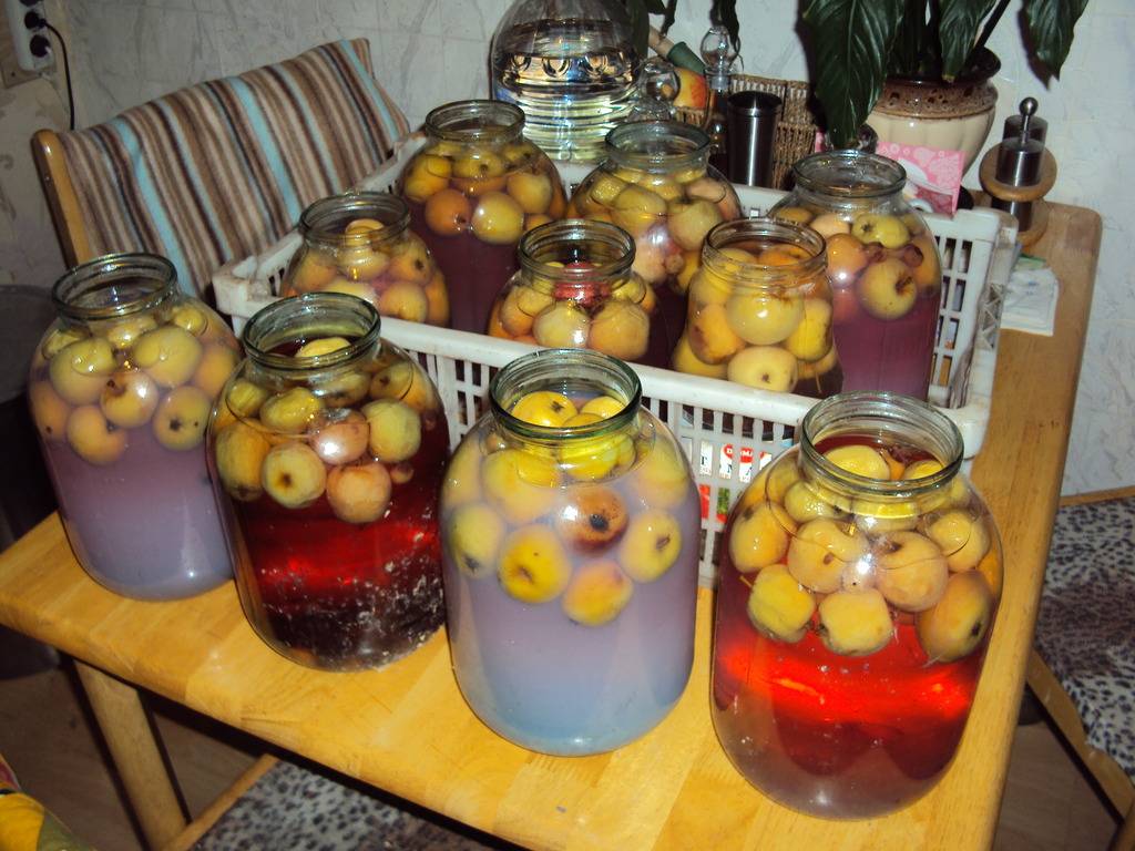 Вино из компота - рецепты приготовления в домашних условиях