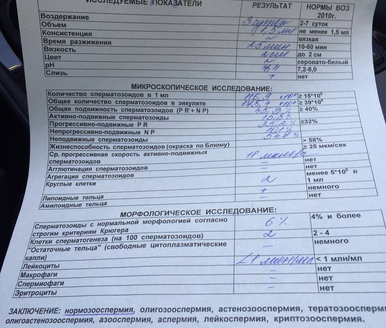 Зачатие и алкоголь: влияние алкоголя на качество спермы